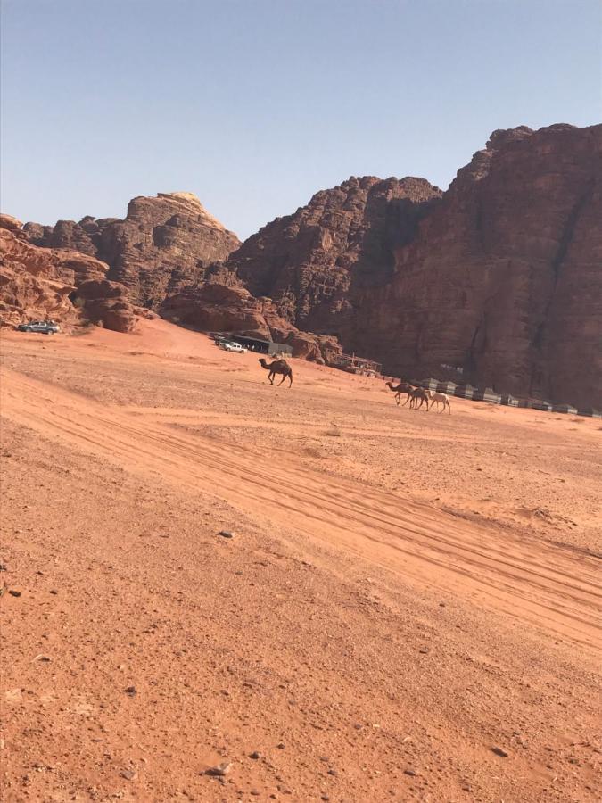 Hotel Bedouin House Camp Wadi Rum Esterno foto