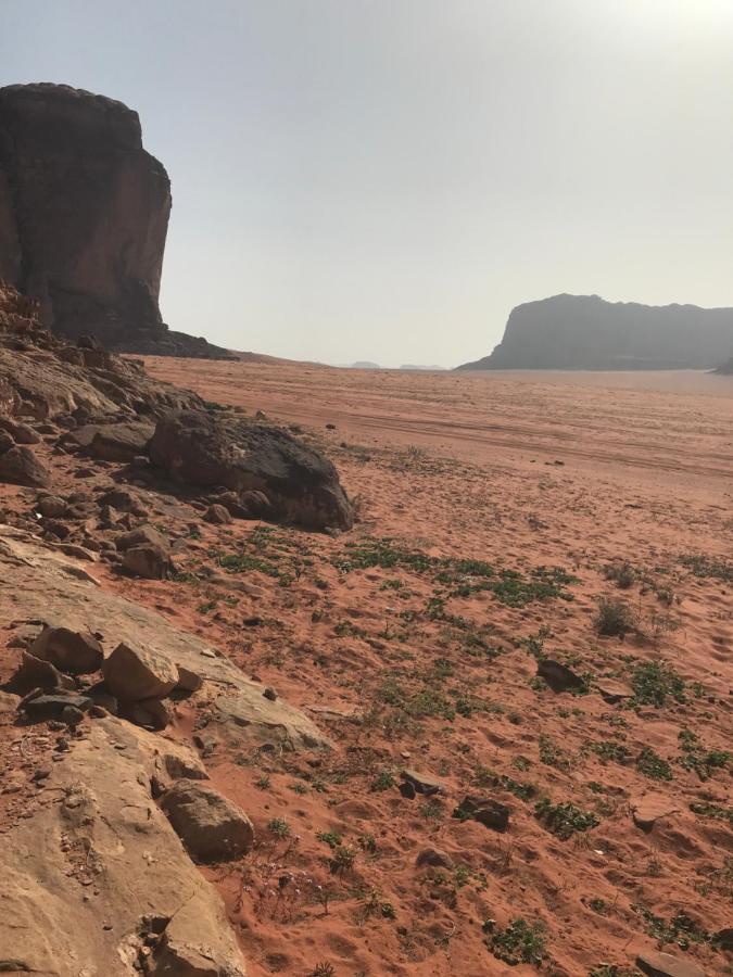 Hotel Bedouin House Camp Wadi Rum Esterno foto