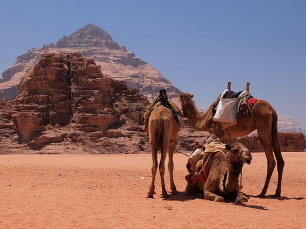 Hotel Bedouin House Camp Wadi Rum Esterno foto
